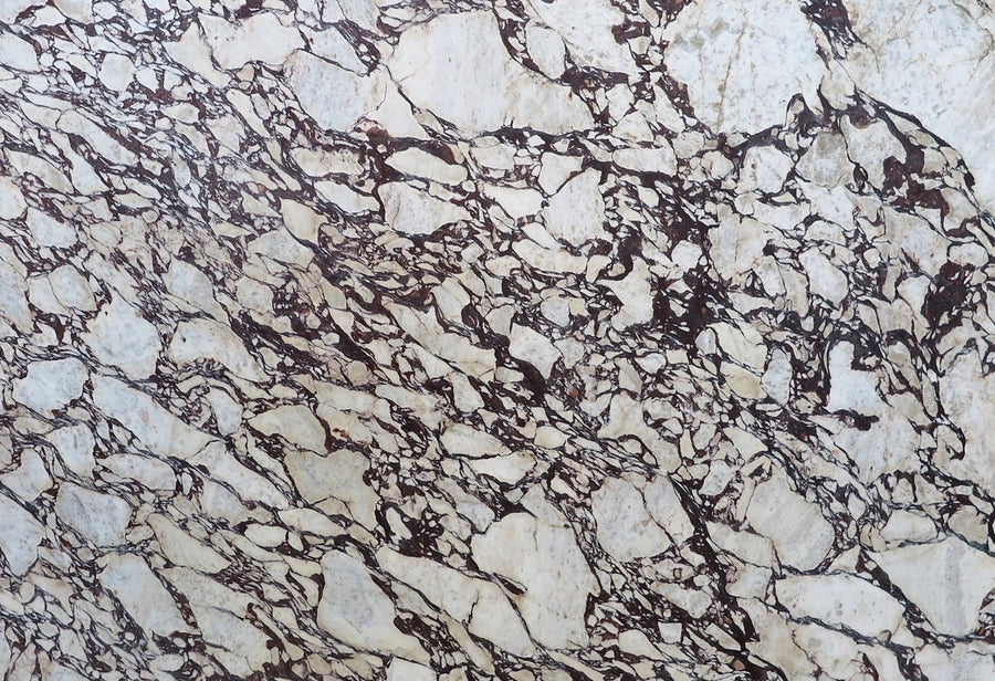 Calacatta Viola marble
